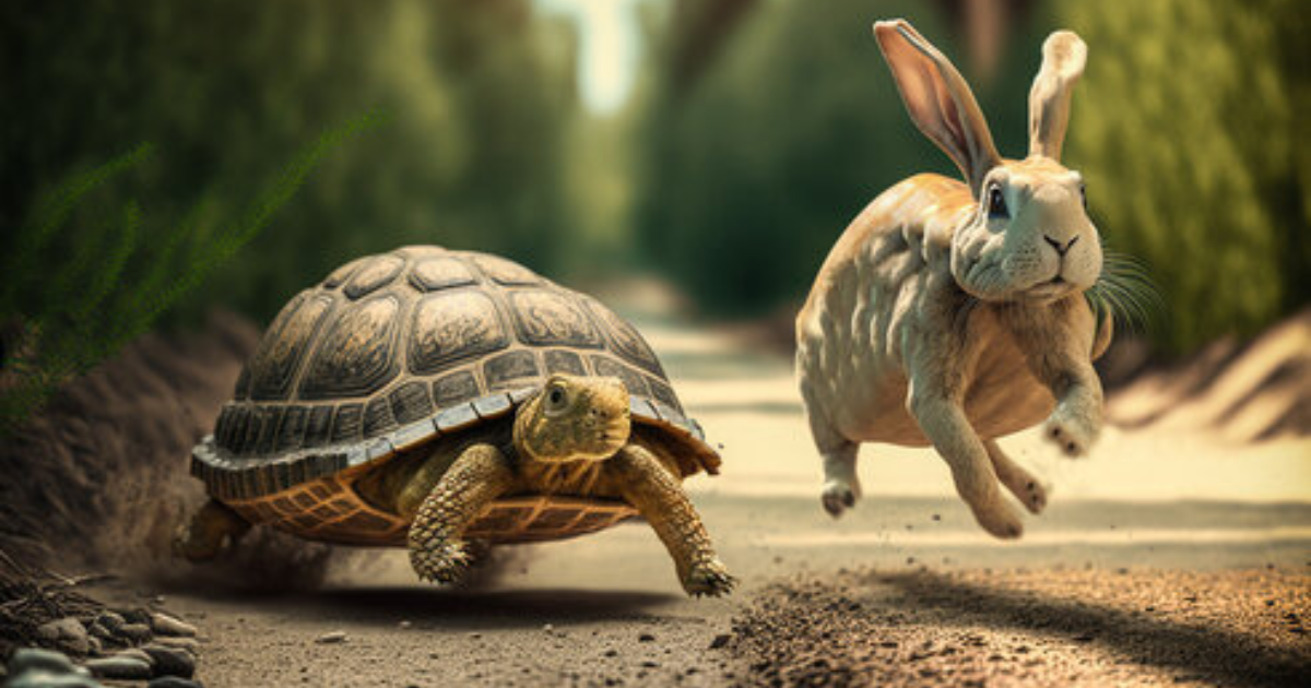 Making Buy Now Pay Later Ethical: Solving Client Impulsive Buying 4 Illustration of a rabbit and tortoise representing the concept of slowing down and thoughtful decision-making.