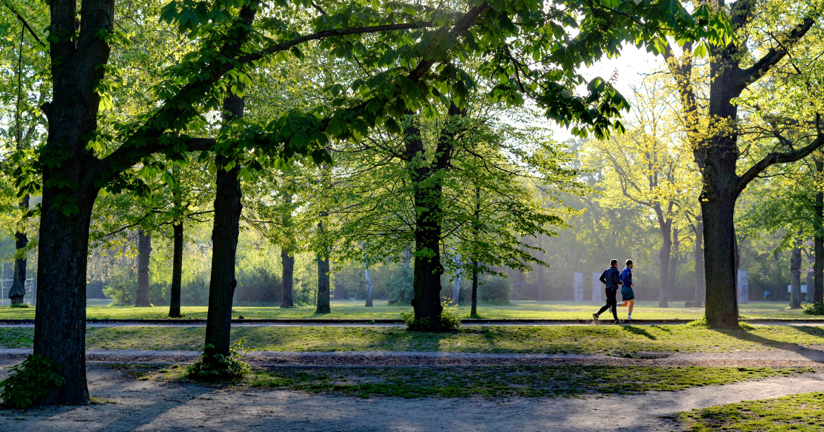 Where To Get Aesthetic Waste Collection: Introducing 3 Expert Partners of Faces! 6 Blog Posts Content Images 13 1